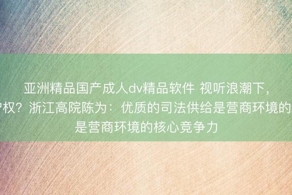 亚洲精品国产成人dv精品软件 视听浪潮下，创意如何护权？浙江高院陈为：优质的司法供给是营商环境的核心竞争力