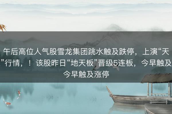 午后高位人气股雪龙集团跳水触及跌停，上演“天地板”行情，！该股昨日“地天板”晋级5连板，今早触及涨停