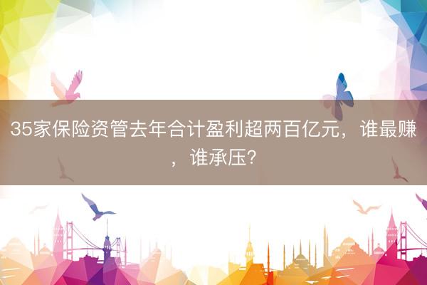 35家保险资管去年合计盈利超两百亿元，谁最赚，谁承压？