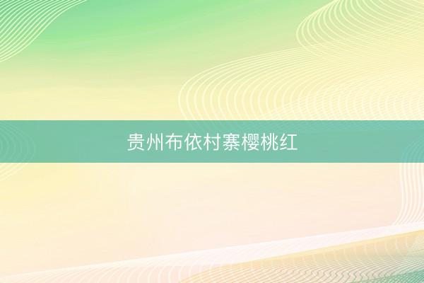 贵州布依村寨樱桃红