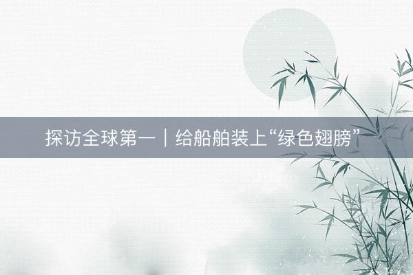 探访全球第一｜给船舶装上“绿色翅膀” 