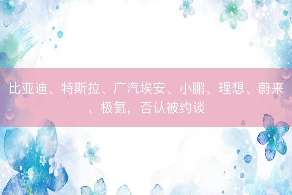 比亚迪、特斯拉、广汽埃安、小鹏、理想、蔚来、极氪，否认被约谈