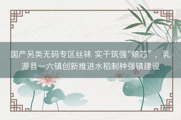 国产另类无码专区丝袜 实干筑强“粮芯” ，乳源县一六镇创新推进水稻制种强镇建设