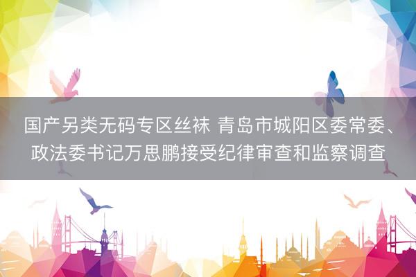 国产另类无码专区丝袜 青岛市城阳区委常委、政法委书记万思鹏接受纪律审查和监察调查