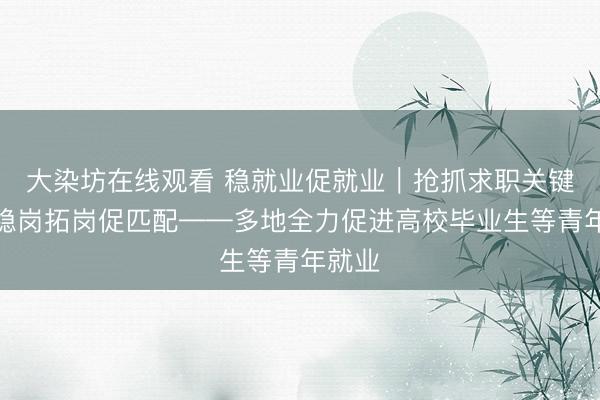 大染坊在线观看 稳就业促就业｜抢抓求职关键期，稳岗拓岗促匹配——多地全力促进高校毕业生等青年就业