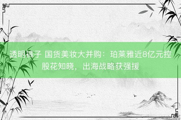 透明裤子 国货美妆大并购：珀莱雅近8亿元控股花知晓，出海战略获强援