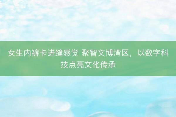 女生内裤卡进缝感觉 聚智文博湾区，以数字科技点亮文化传承