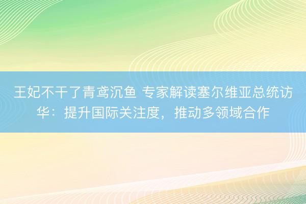 王妃不干了青鸢沉鱼 专家解读塞尔维亚总统访华：提升国际关注度，推动多领域合作
