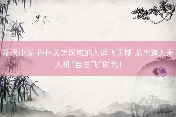 裙摆小说 梅林关等区域纳入适飞区域 龙华踏入无人机“自由飞”时代！