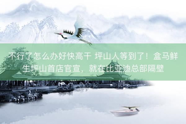 不行了怎么办好快高干 坪山人等到了！盒马鲜生坪山首店官宣，就在比亚迪总部隔壁