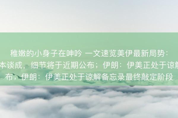 稚嫩的小身子在呻吟 一文速览美伊最新局势： 特朗普称美伊协议基本谈成，细节将于近期公布；伊朗：伊美正处于谅解备忘录最终敲定阶段