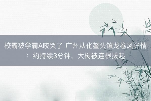 校霸被学霸A咬哭了 广州从化鳌头镇龙卷风详情:约持续3分钟,大树被连根拔起