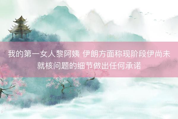 我的第一女人黎阿姨 伊朗方面称现阶段伊尚未就核问题的细节做出任何承诺