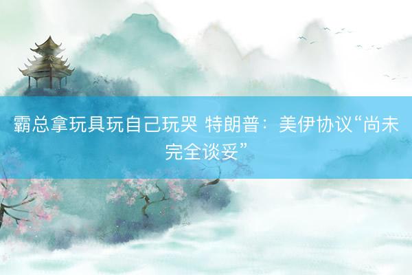 霸总拿玩具玩自己玩哭 特朗普：美伊协议“尚未完全谈妥”