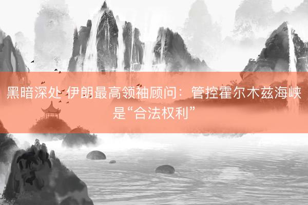 黑暗深处 伊朗最高领袖顾问:管控霍尔木兹海峡是“合法权利”