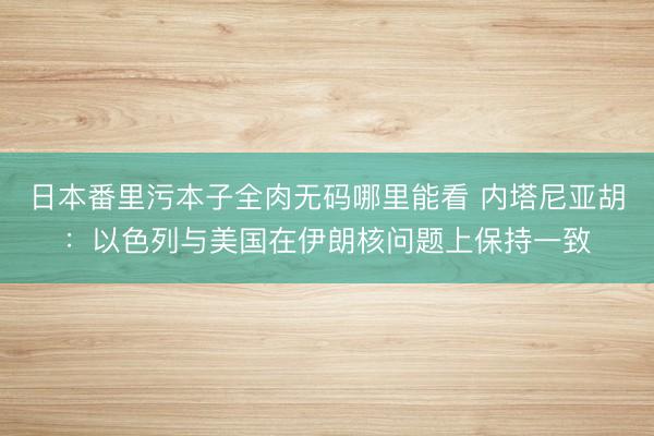 日本番里污本子全肉无码哪里能看 内塔尼亚胡：以色列与美国在伊朗核问题上保持一致