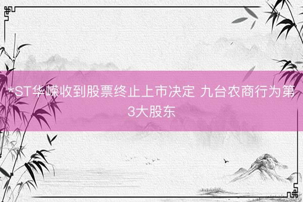 *ST华嵘收到股票终止上市决定 九台农商行为第3大股东