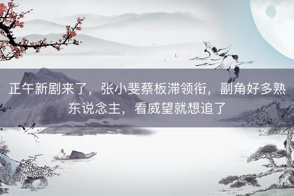 正午新剧来了，张小斐蔡板滞领衔，副角好多熟东说念主，看威望就想追了