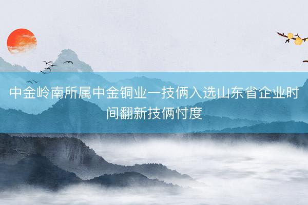 中金岭南所属中金铜业一技俩入选山东省企业时间翻新技俩忖度