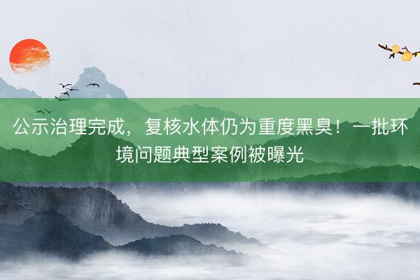 公示治理完成，复核水体仍为重度黑臭！一批环境问题典型案例被曝光
