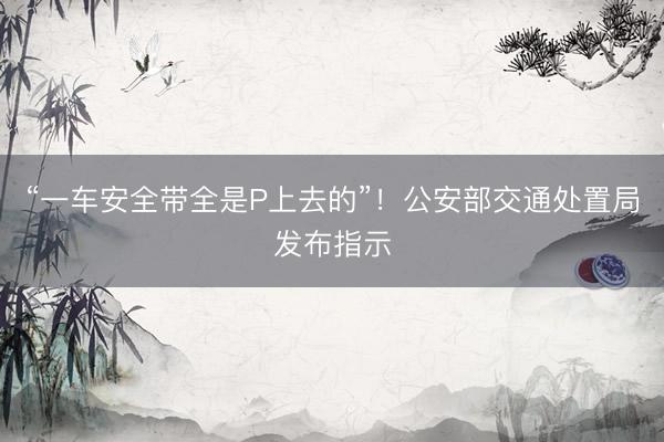 “一车安全带全是P上去的”！公安部交通处置局发布指示