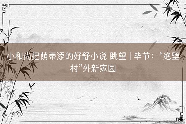 小和尚把荫蒂添的好舒小说 眺望 | 毕节：“绝壁村”外新家园