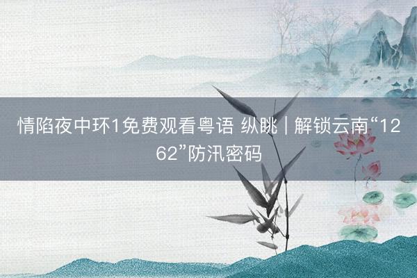 情陷夜中环1免费观看粤语 纵眺 | 解锁云南“1262”防汛密码