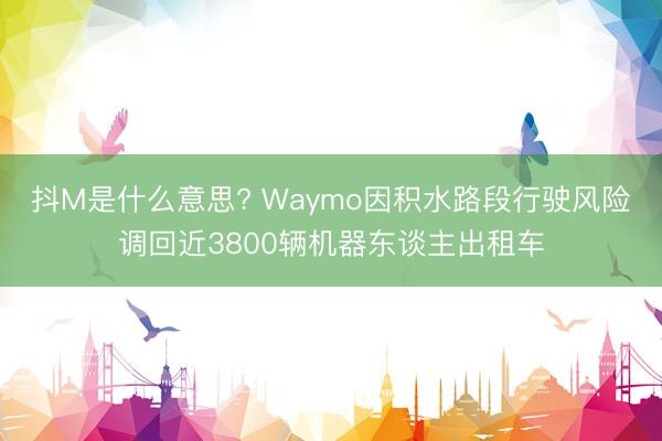 抖M是什么意思? Waymo因积水路段行驶风险调回近3800辆机器东谈主出租车
