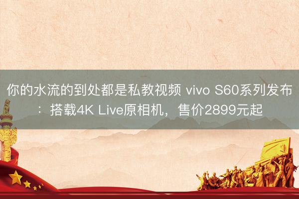 你的水流的到处都是私教视频 vivo S60系列发布：搭载4K Live原相机，售价2899元起