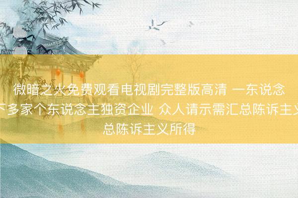 微暗之火免费观看电视剧完整版高清 一东说念主名下多家个东说念主独资企业 众人请示需汇总陈诉主义所得