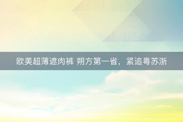 欧美超薄遮肉裤 朔方第一省，紧追粤苏浙