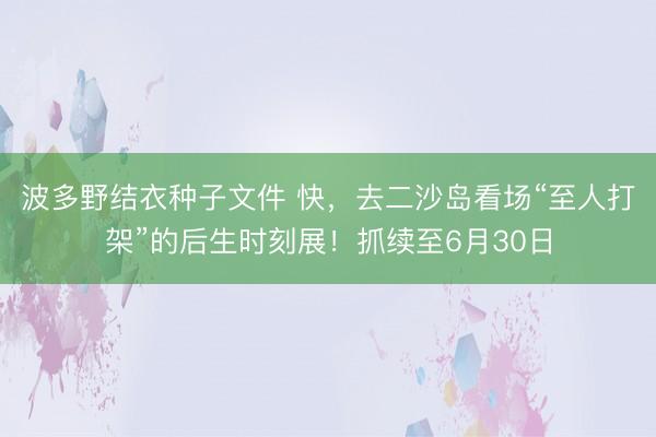 波多野结衣种子文件 快，去二沙岛看场“至人打架”的后生时刻展！抓续至6月30日