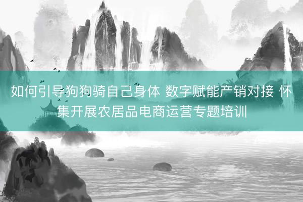 如何引导狗狗骑自己身体 数字赋能产销对接 怀集开展农居品电商运营专题培训