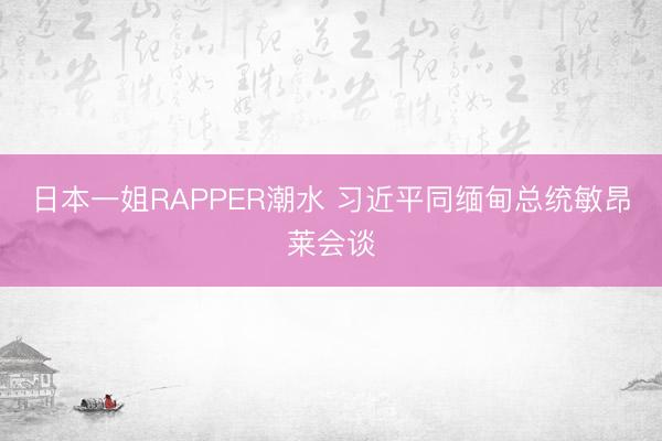 日本一姐RAPPER潮水 习近平同缅甸总统敏昂莱会谈