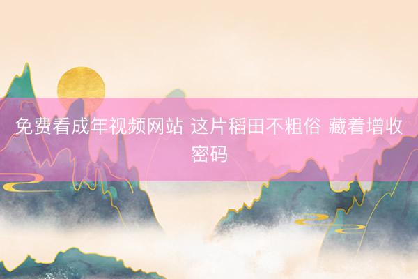 免费看成年视频网站 这片稻田不粗俗 藏着增收密码