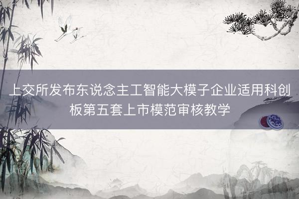 上交所发布东说念主工智能大模子企业适用科创板第五套上市模范审核教学