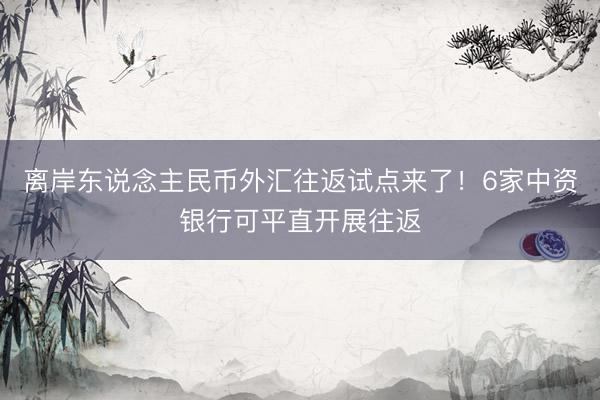 离岸东说念主民币外汇往返试点来了！6家中资银行可平直开展往返
