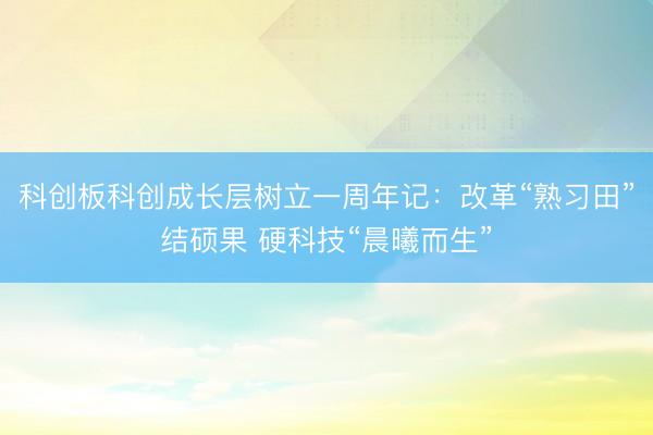 科创板科创成长层树立一周年记:改革“熟习田”结硕果 硬科技“晨曦而生”