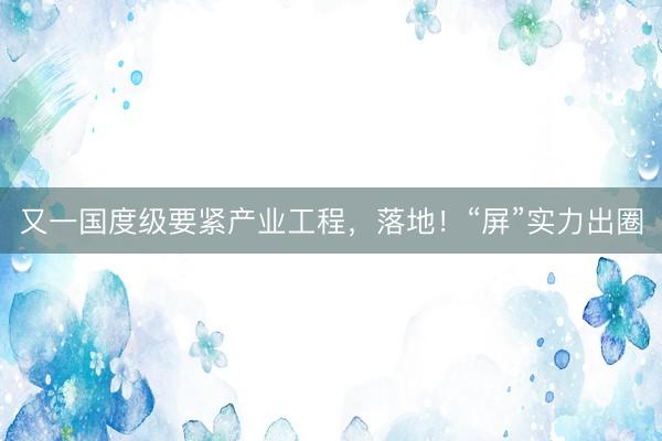 又一国度级要紧产业工程，落地！“屏”实力出圈